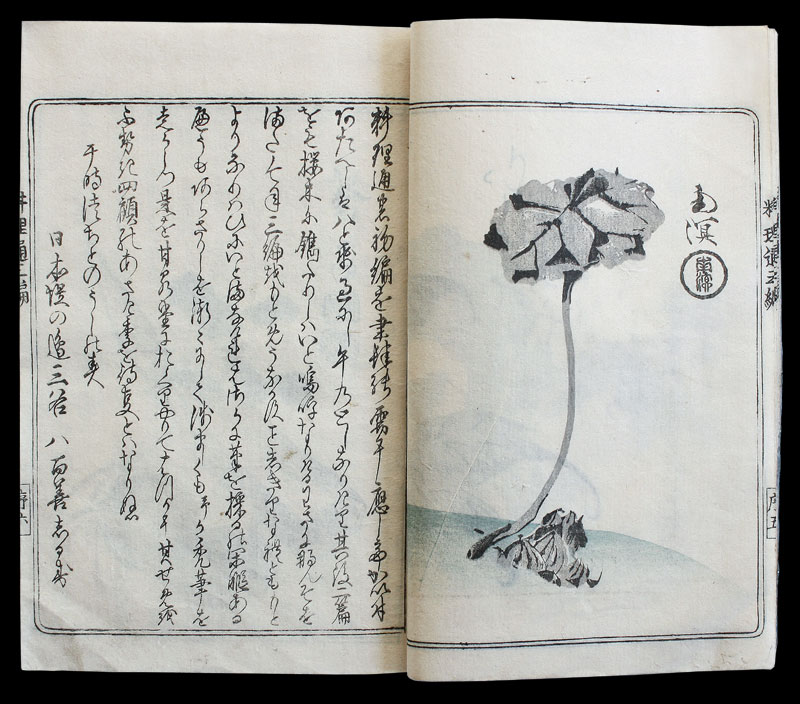 Edo Cookbook Holzschnittbuch Japan B